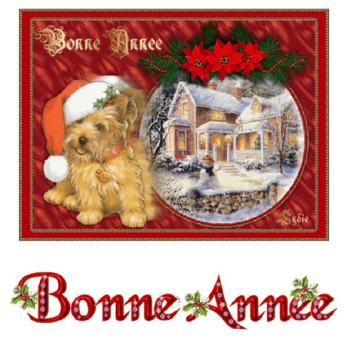BONNE ANNEE 2016